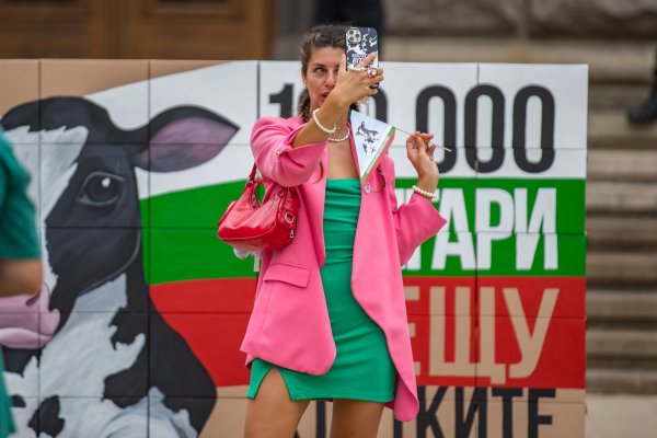 Снимка: Димитър Кьосемарлиев, Dnes.bg